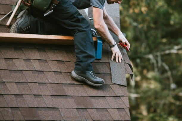 Gutter Installation and Roofing in Prophetstown, IL